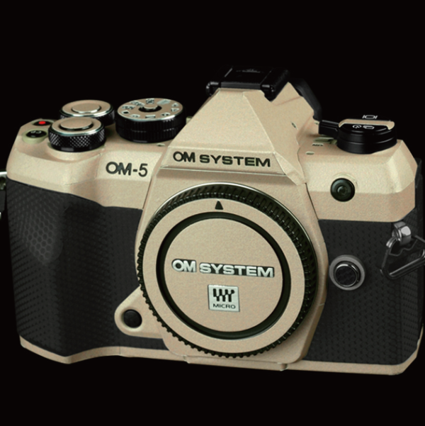 lifeguard-olomsyom52